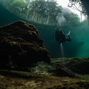 Diver with torch beside a large boulder under mangrove cover, Casa Cenote, Quintana Roo, Mexico