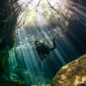 Diver below a ring of mangrove roots and sun rays, vertical, Casa Cenote, Quintana Roo, Mexico