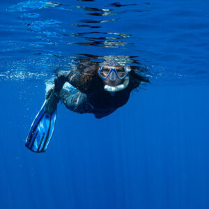 Woman snorkeler finning just below the surface, looking at camera, Tahiti, Society Islands, French Polynesia