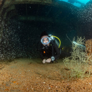 Scuba diver in a wreck hold with a gorgonian and baitfish, Baja California Sur, Mexico