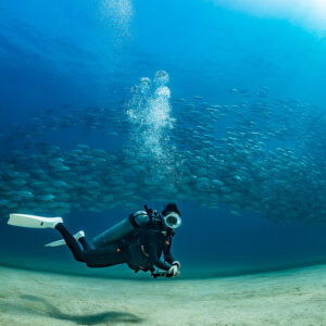 Scuba diver in front of a long jack school, bubbles rising, Cabo Pulmo, Baja California Sur, Mexico