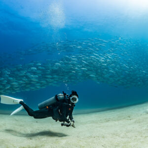 Scuba diver on sand with a distant wall of jacks, Cabo Pulmo, Baja California Sur, Mexico