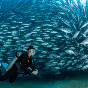 Scuba diver in front of a dense swirling bigeye trevally school, Cabo Pulmo, Baja California Sur, Mexico
