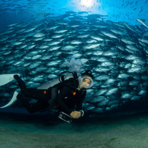 Scuba diver holding a camera before a curving jack school, Cabo Pulmo, Baja California Sur, Mexico