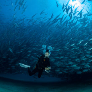 Scuba diver almost engulfed by a jack school, sun above, Cabo Pulmo, Baja California Sur, Mexico