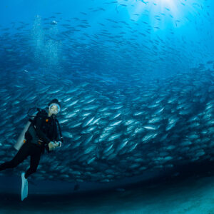 Scuba diver upright in front of a jack school, bubbles above, Cabo Pulmo, Baja California Sur, Mexico