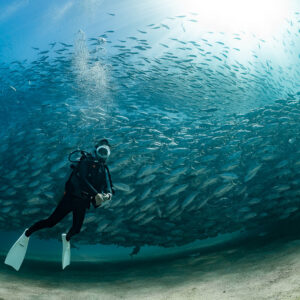 Scuba diver upright over sand before a jack school, sun rays, Cabo Pulmo, Baja California Sur, Mexico