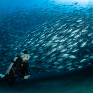 Scuba diver in front of a close, dense jack school, Cabo Pulmo, Baja California Sur, Mexico