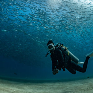 Diver in silhouette swimming beneath a wall of bigeye trevally, Cabo Pulmo, Baja California Sur, Mexico