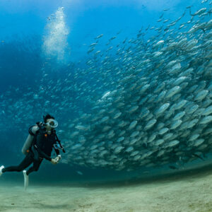 Diver with camera beside a dense school of bigeye trevally and rising bubbles, Cabo Pulmo, Baja California Sur, Mexico