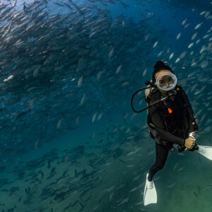 Diver posing upright inside a cloud of bigeye trevally, close framing, Cabo Pulmo, Baja California Sur, Mexico