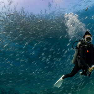 Diver exhaling bubbles in front of a dense school of bigeye trevally, Cabo Pulmo, Baja California Sur, Mexico