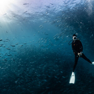 Diver suspended in blue water among bigeye trevally under sunburst, Cabo Pulmo, Baja California Sur, Mexico