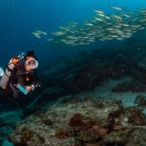 Diver smiling at camera below a high school of yellow-striped fish, Cabo Pulmo, Baja California Sur, Mexico
