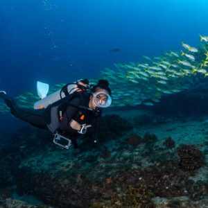 Diver with camera along a slanting line of yellow-striped fish, Cabo Pulmo, Baja California Sur, Mexico