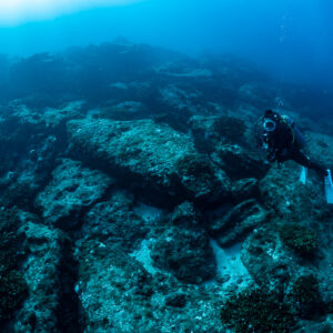 Diver swimming over a wide rocky reef plateau, top-down view, Cabo Pulmo, Baja California Sur, Mexico