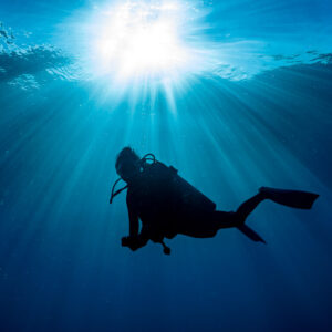 Diver silhouette at safety stop with sunrays through the surface, Cabo Pulmo, Baja California Sur, Mexico
