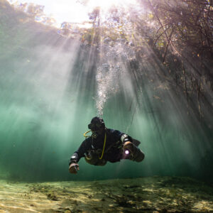 Diver with torch under mangrove canopy and shafts of light in a cenote, Casa Cenote, Quintana Roo, Mexico