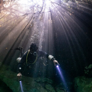 Diver facing camera beneath radiant sunrays at cenote entrance, Casa Cenote, Quintana Roo, Mexico