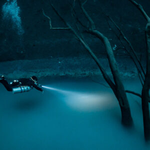 Sidemount diver lighting the hydrogen sulfide cloud among dead trees, Cenote Angelita, Quintana Roo, Mexico