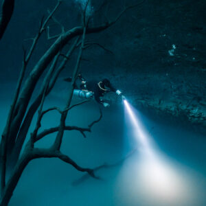 Diver shining torch down onto the sulfide cloud beside bare branches, vertical, Cenote Angelita, Quintana Roo, Mexico