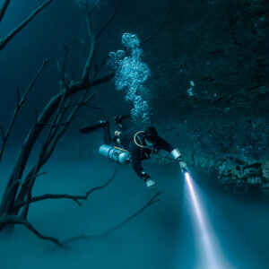 Diver exhaling bubbles behind dead branches over the sulfide cloud, Cenote Angelita, Quintana Roo, Mexico