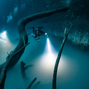 Two divers with torches behind twisted trunks over the sulfide cloud, Cenote Angelita, Quintana Roo, Mexico