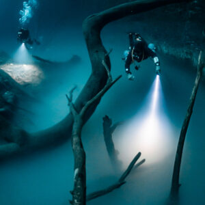 Divers and bubbles behind a looping dead trunk above the misty layer, Cenote Angelita, Quintana Roo, Mexico