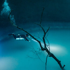 Diver behind a leaning dead tree above the glowing sulfide cloud, Cenote Angelita, Quintana Roo, Mexico