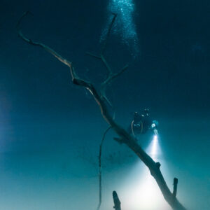 Diver lighting the cloud behind a dead tree, misty vertical view, Cenote Angelita, Quintana Roo, Mexico