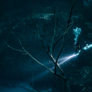Diver lighting tangled dead branches in the dark cenote, Cenote Angelita, Quintana Roo, Mexico