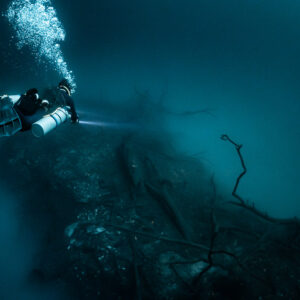 Sidemount diver gliding over the debris mound with a dead branch, Cenote Angelita, Quintana Roo, Mexico