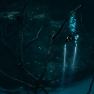 Diver with twin torches behind a web of bare branches, wide view, Cenote Angelita, Quintana Roo, Mexico
