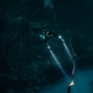 Twin torch beams hitting a branch tip above the sulfide cloud, vertical, Cenote Angelita, Quintana Roo, Mexico