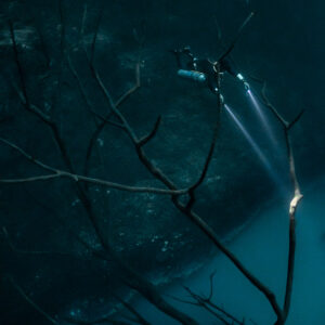 Diver and highlighted branch over dark water and sulfide cloud, vertical, Cenote Angelita, Quintana Roo, Mexico