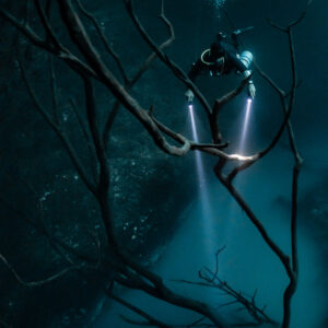 Diver with bubbles framed by crossing dead branches, beams downward, Cenote Angelita, Quintana Roo, Mexico