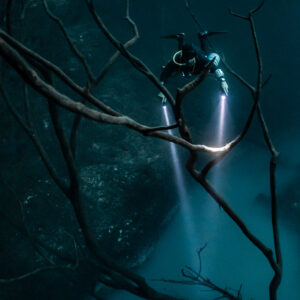 Diver behind a diagonal dead branch lit at its tip, dark framing, Cenote Angelita, Quintana Roo, Mexico