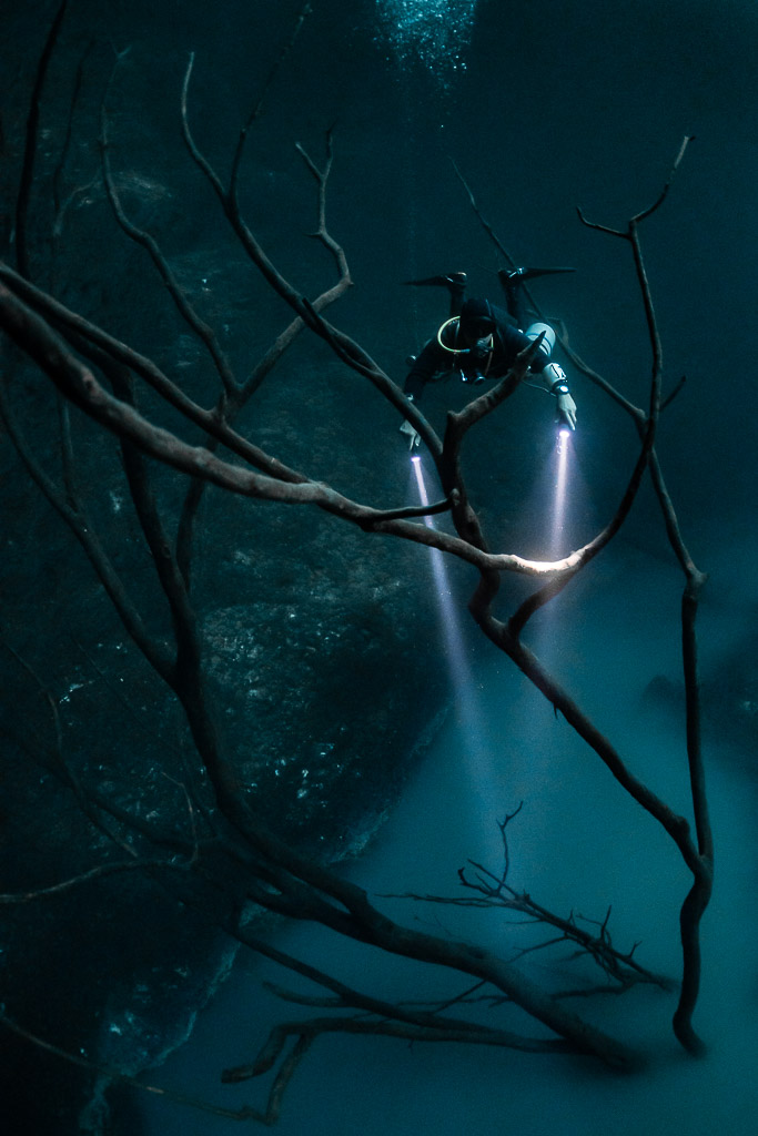 Plongeur derrière une branche oblique éclairée à sa pointe, cadrage sombre, cénote Angelita, Quintana Roo, Mexique