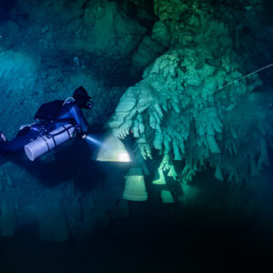 Sidemount diver following a guideline beside a cluster of bells, Cenote El Zapote, Quintana Roo, Mexico