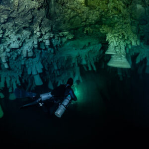Sidemount diver gliding beneath a ceiling of limestone bell formations, Cenote El Zapote, Quintana Roo, Mexico