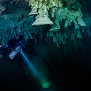 Sidemount diver beaming torch downward below large hanging bells, Cenote El Zapote, Quintana Roo, Mexico