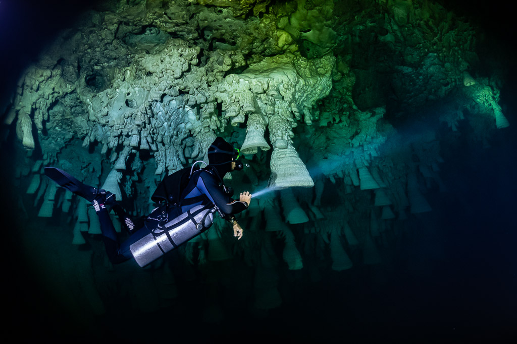 Plongeur en sidemount tout près de cloches claires, faisceau vers l’avant, cénote El Zapote, Quintana Roo, Mexique
