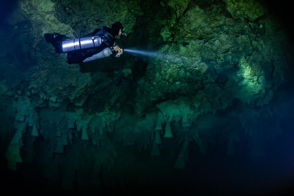 Plongeur en sidemount vu d’en haut éclairant une paroi sombre du cénote, cénote El Zapote, Quintana Roo, Mexique