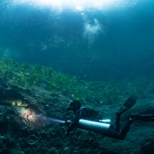 Sidemount diver lighting a red hollow beneath aquatic plants, Quintana Roo, Mexico