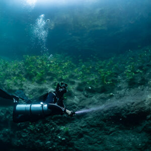 Sidemount diver beaming torch over silty slope beneath aquatic plants, Quintana Roo, Mexico