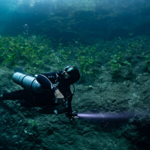 Sidemount diver with torch beam along a weedy cenote wall, Cenote El Zapote, Quintana Roo, Mexico