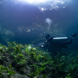 Sidemount diver lighting aquatic plants along a sloping bank, Quintana Roo, Mexico