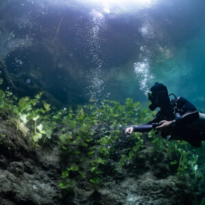 Sidemount diver close to lit plants with bubbles and bright surface, Quintana Roo, Mexico