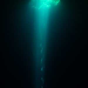 Turquoise light shaft from a narrow opening with rising bubbles, Quintana Roo, Mexico