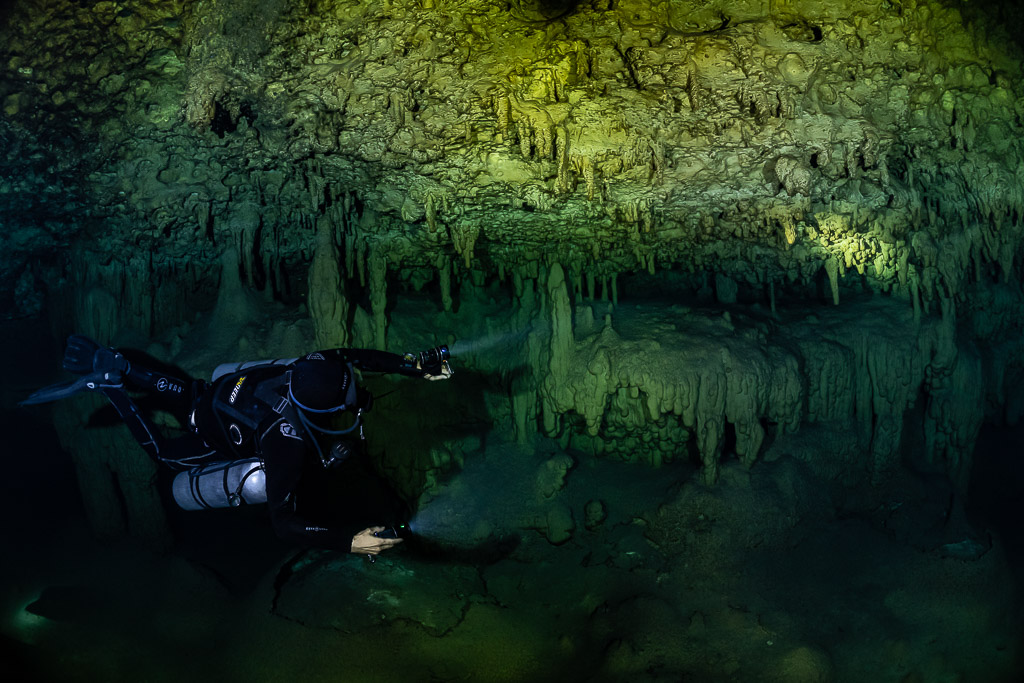 Plongeur en sidemount éclairant le plafond sous des stalactites vertes, Quintana Roo, Mexique